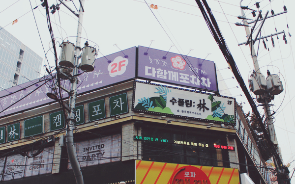 주)수풀림 이미지
