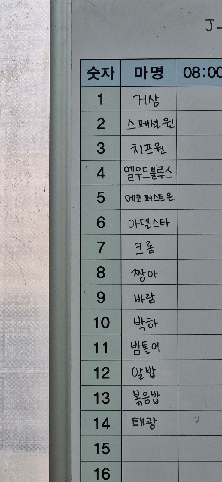 제이클라우드승마센터 이미지