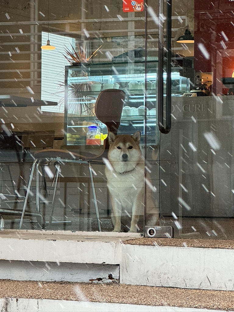 신보미용실 이미지