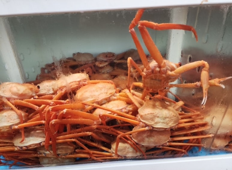 한마음대게수산 이미지