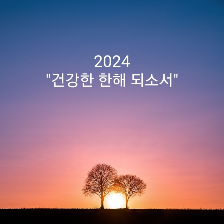 대선칼국수 이미지