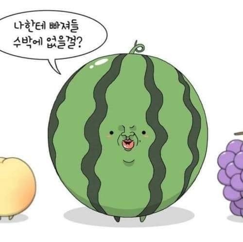 도아재 이미지