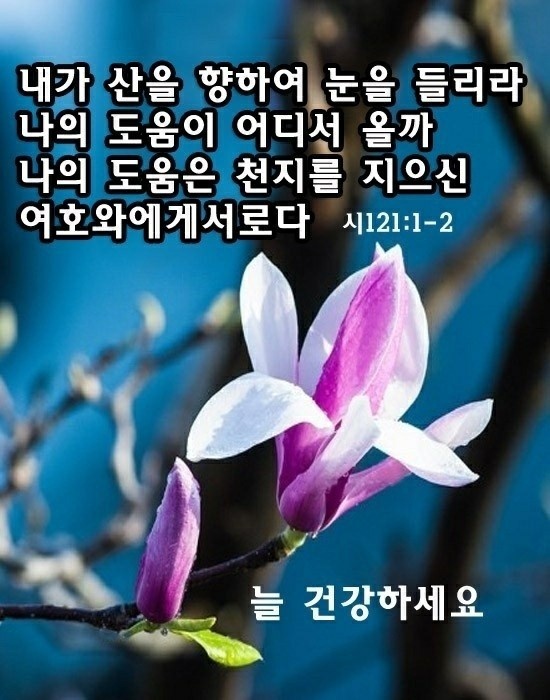하늘보라 이미지