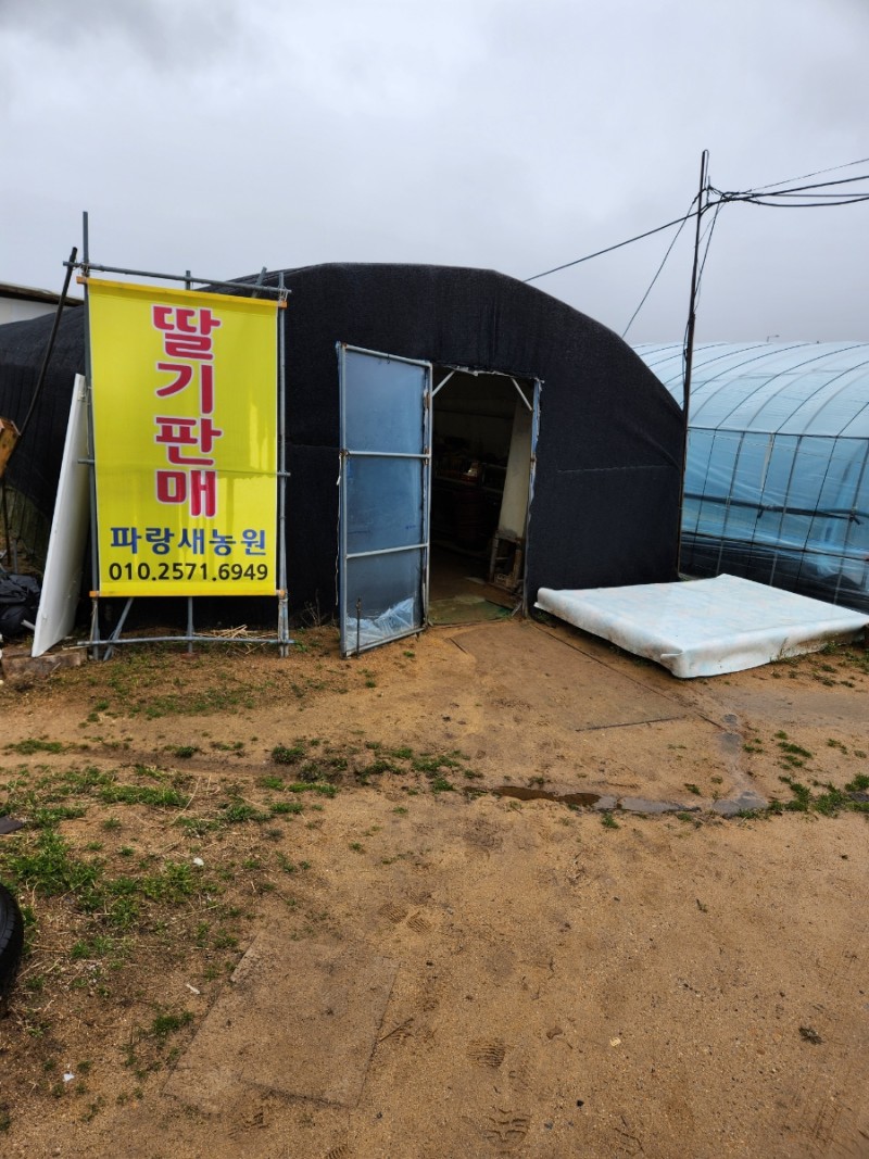 파랑새하우스 이미지