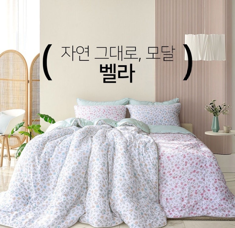 지니벨라 이미지