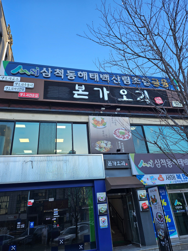 본가오리 이미지