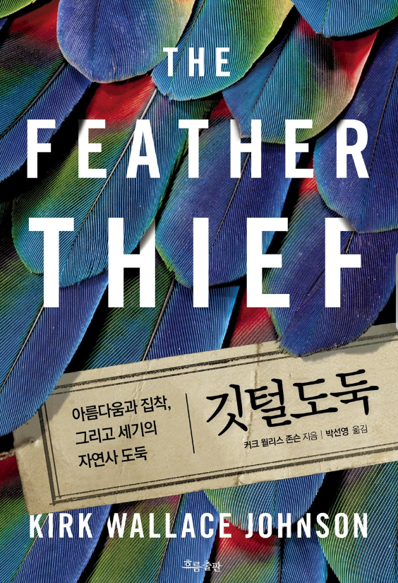 회도둑 이미지