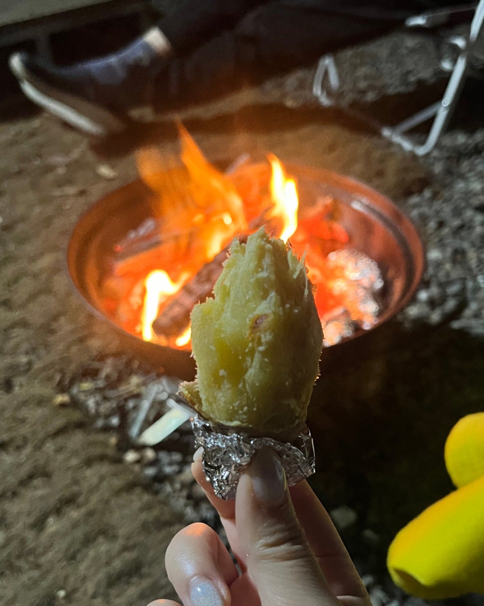 포레스트카라반파크 이미지