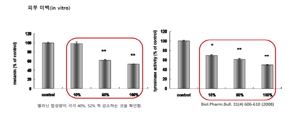 노마셀 이미지
