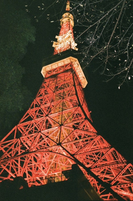 스카이필드트립 이미지