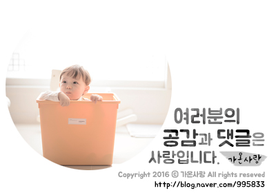 정글비 대전관평점 이미지