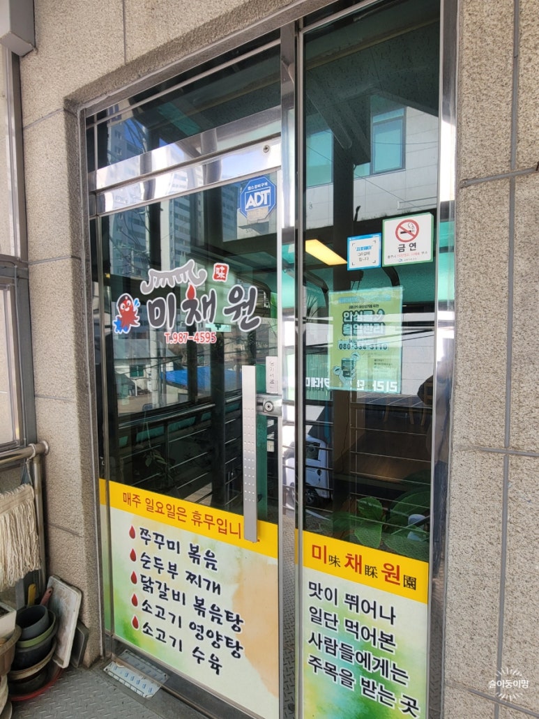 미채원 이미지
