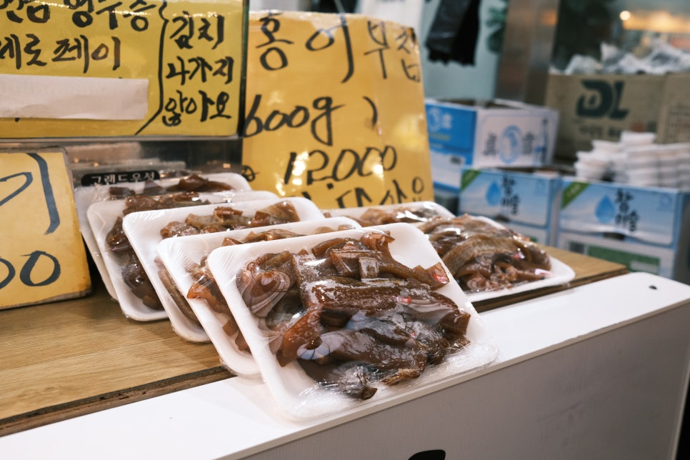 고향전집 사진 5