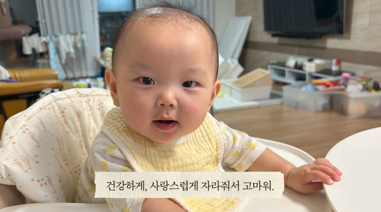 탱고픽처스 이미지