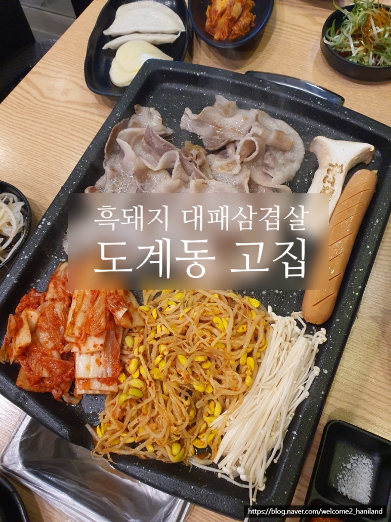 고집도계점 이미지