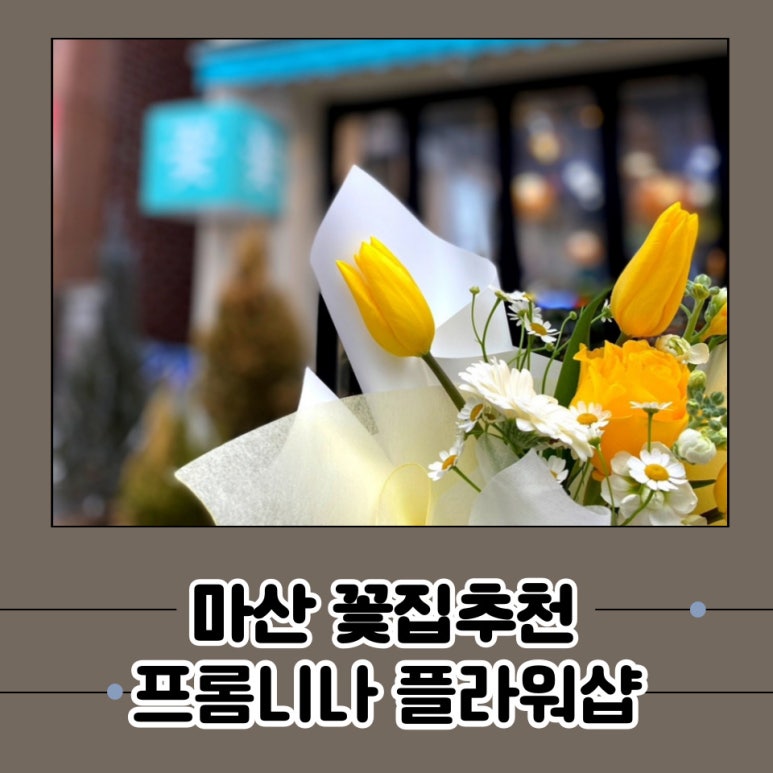 프롬니나 이미지