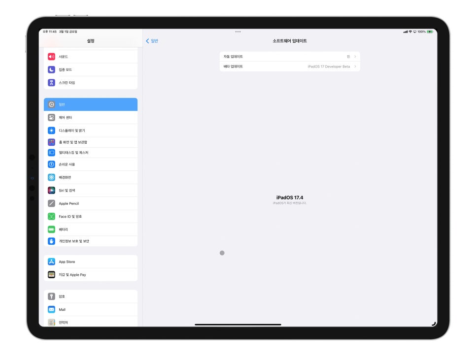 아이패드 프로 6세대  iPad OS 17.4 베타 업데이트 후기 - 듀얼 모니터 에러와 속성없이 붙여 넣기 복구 이미지 2