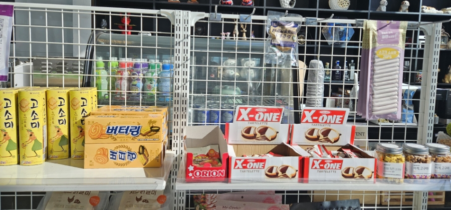 김포 애견카페 오늘도 난 삐딱하개: 넓은 운동장과 상주견 — 사진 6