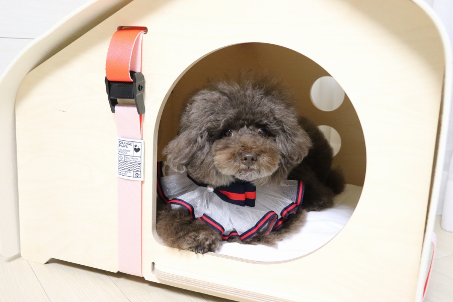 지포하우스 이미지