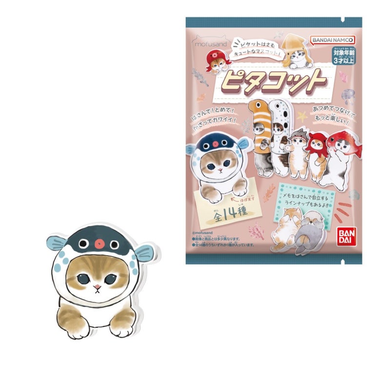 샌드마켓 이미지