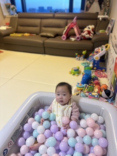꼬숑 이미지