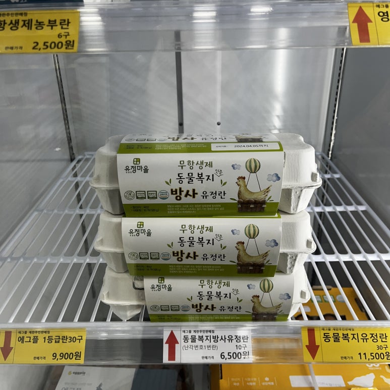 에그플청주 이미지