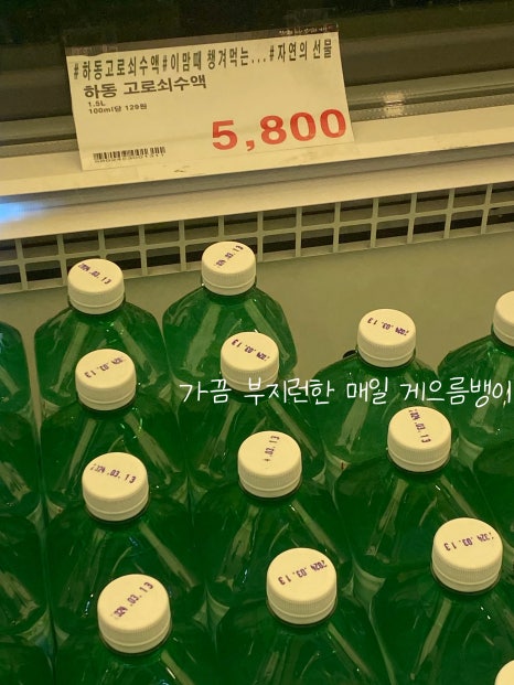 태안농협하나로마트 능동점 이미지