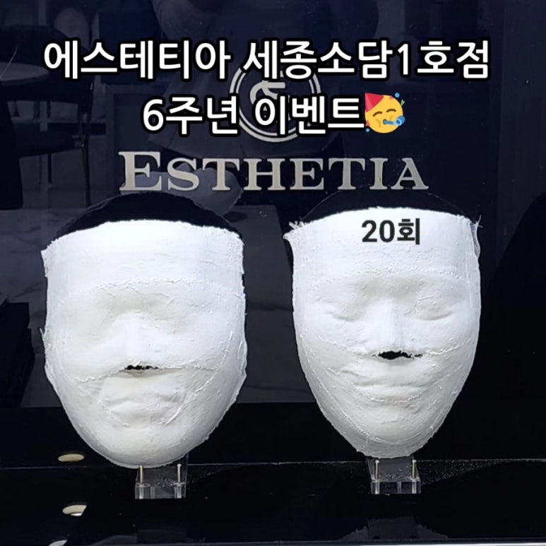 에스테티아세종소담 이미지