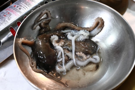 무안뻘낙지 이미지