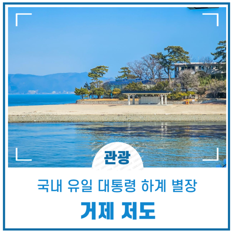 유일하계 이미지