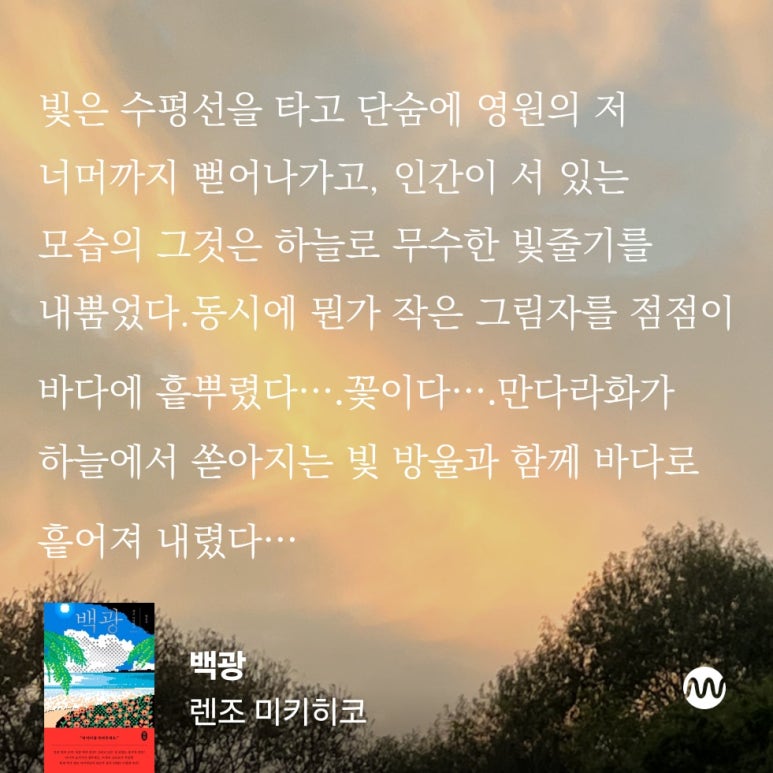 백광 이미지