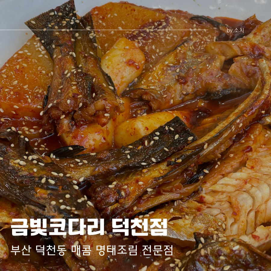 금빛코다리 이미지