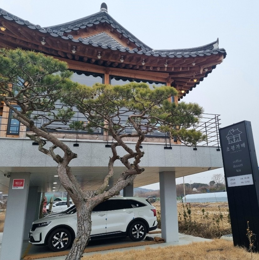 초평가배 이미지