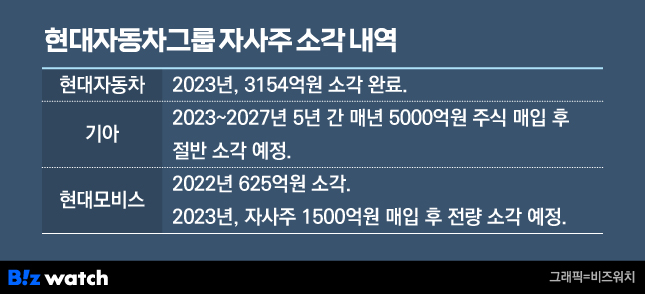 현대자동차우 이미지