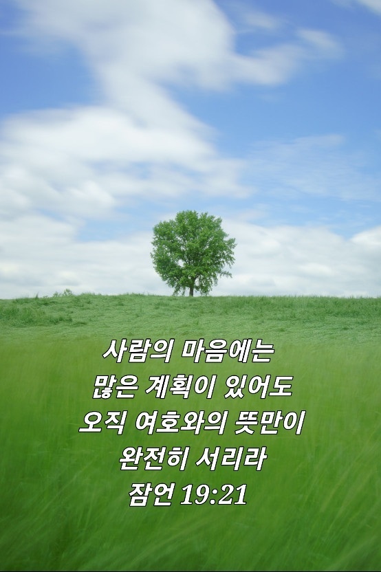 (자)승*수 이미지