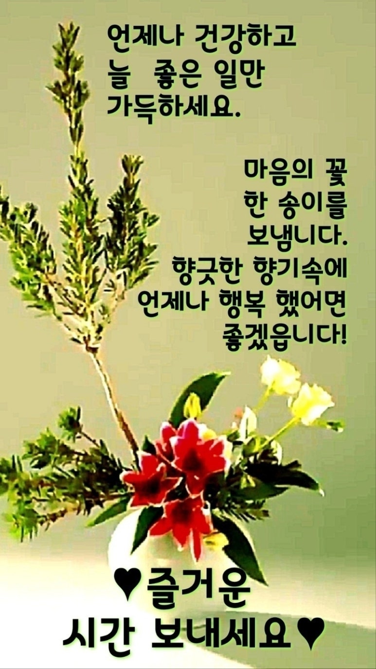 행복법무사 이미지