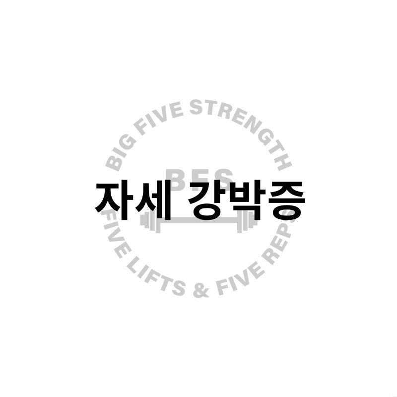 빅파이브스트렝스 이미지