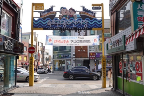 어살아있네 이미지