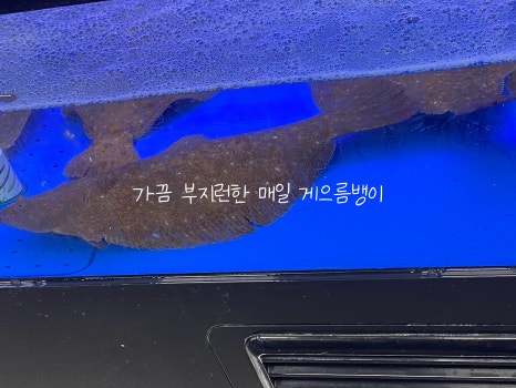 태안농협하나로마트 능동점 이미지