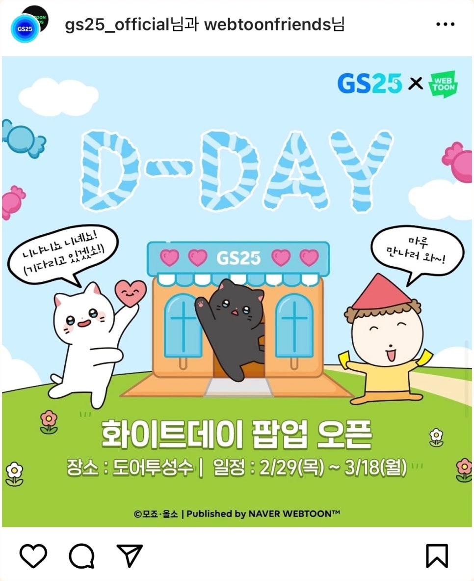 여리수 이미지