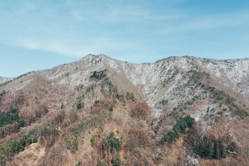 옥이드론 이미지