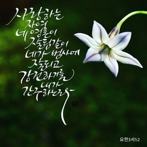 하누리 이미지