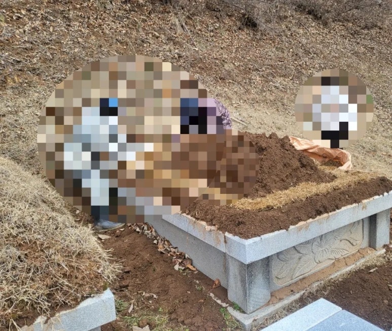 고인돌상조 이미지