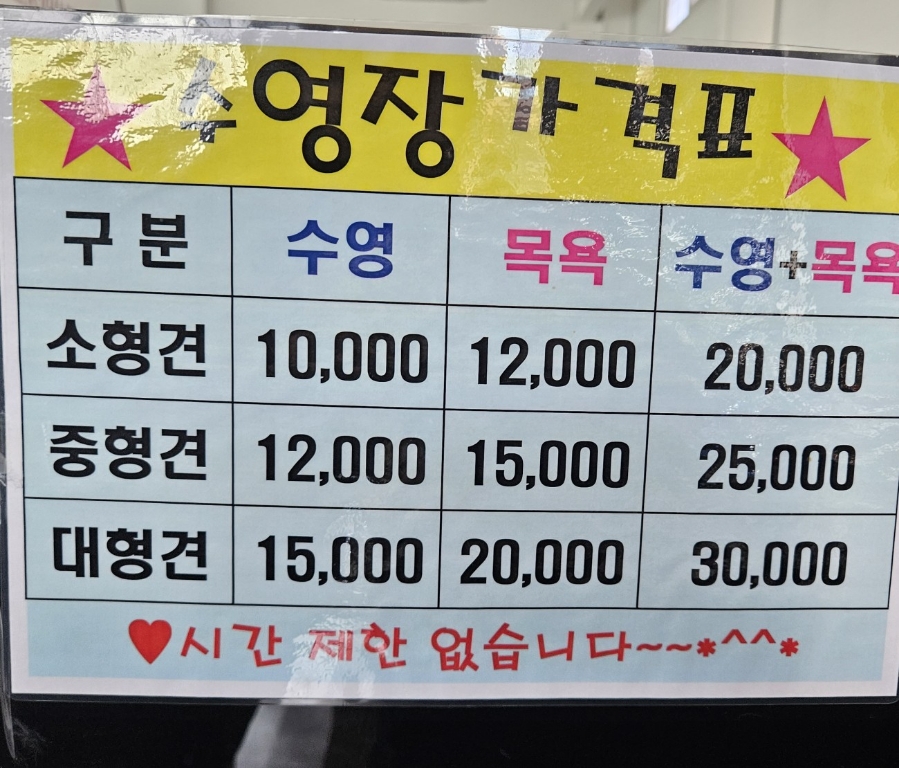 김포 애견카페 오늘도 난 삐딱하개: 넓은 운동장과 상주견 — 사진 7
