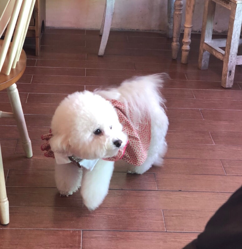 투데이지카페 이미지