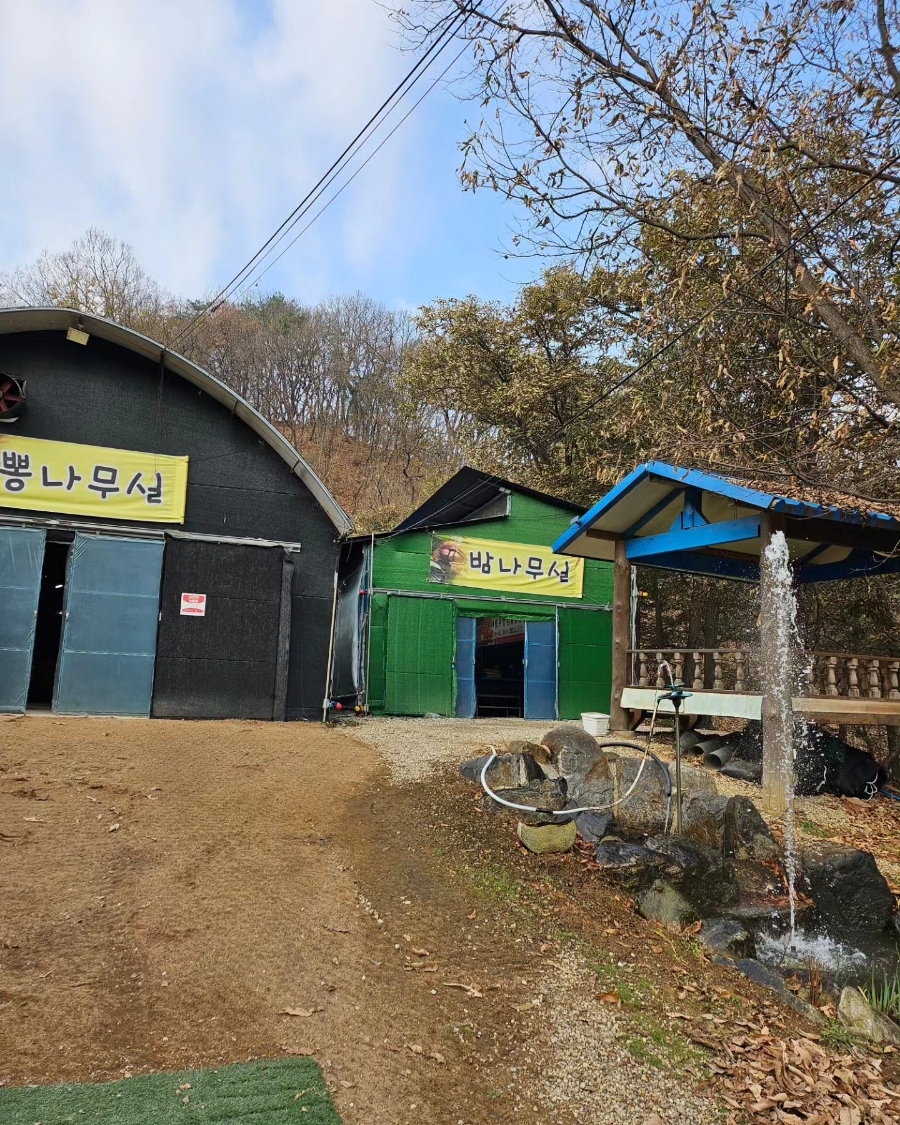 두지리 오리장작구이 이미지