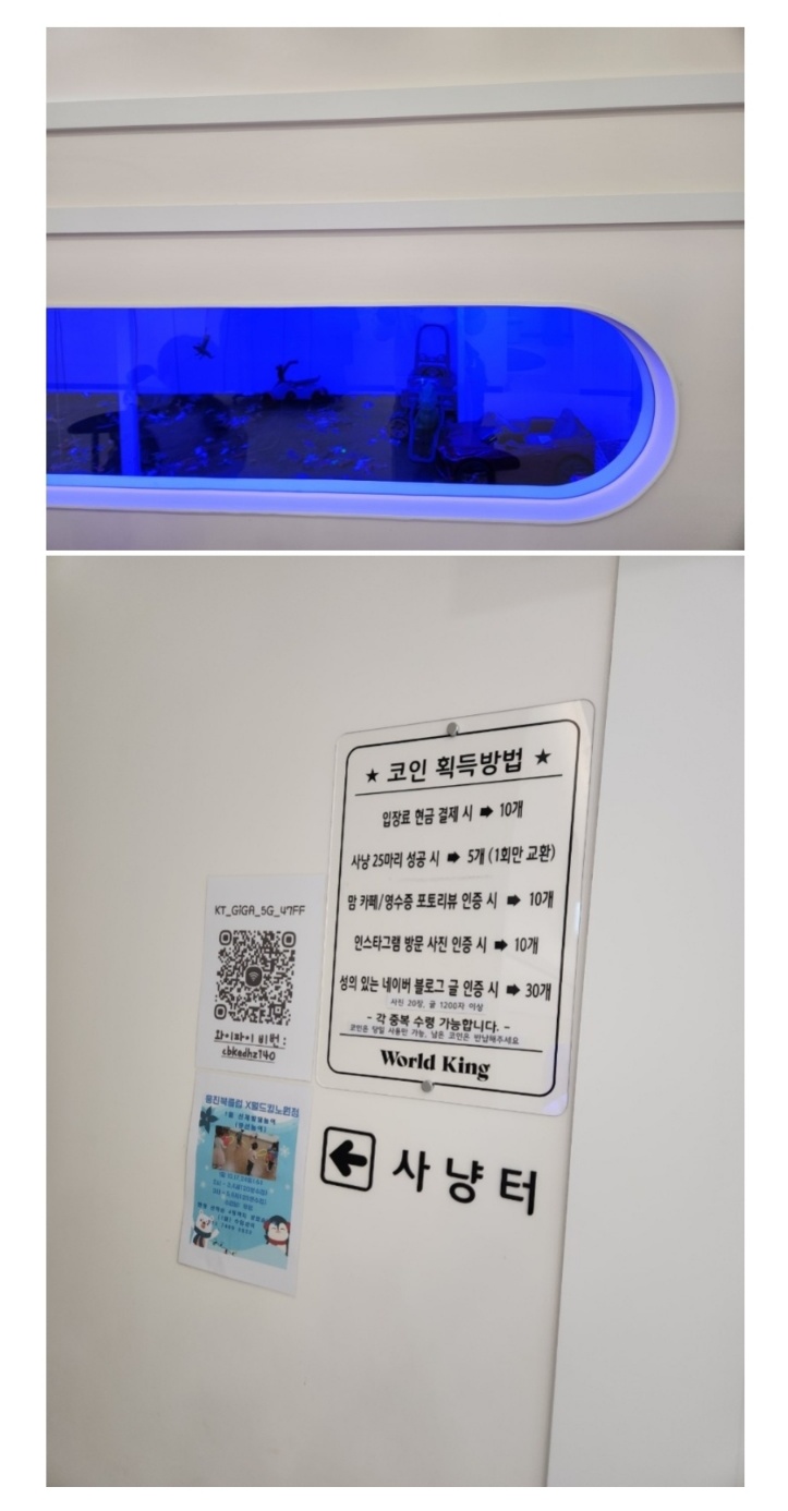 월드킹 이미지