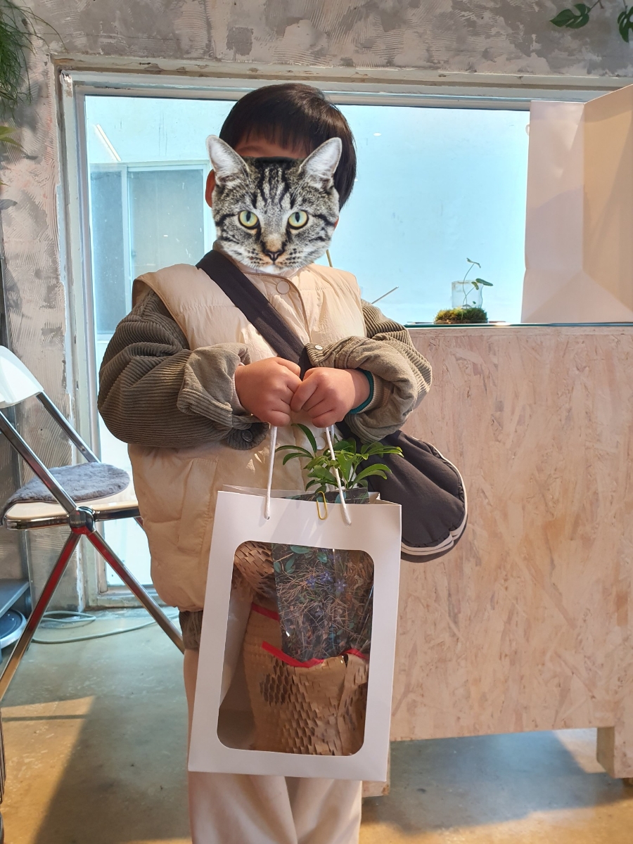 밀림 플랜트 커피 이미지
