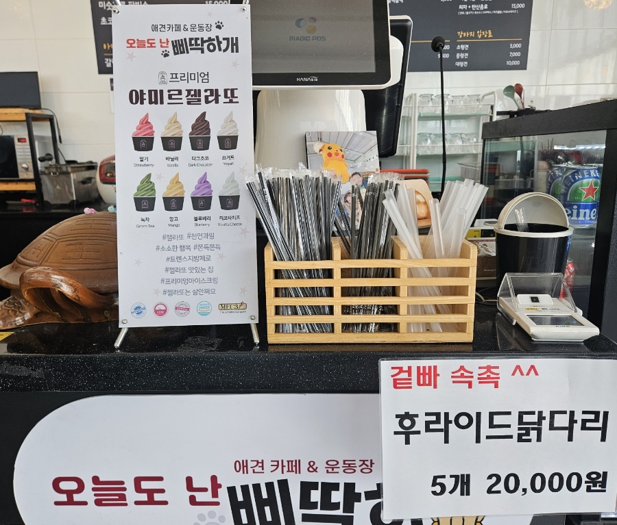 김포 애견카페 오늘도 난 삐딱하개: 넓은 운동장과 상주견 — 사진 4