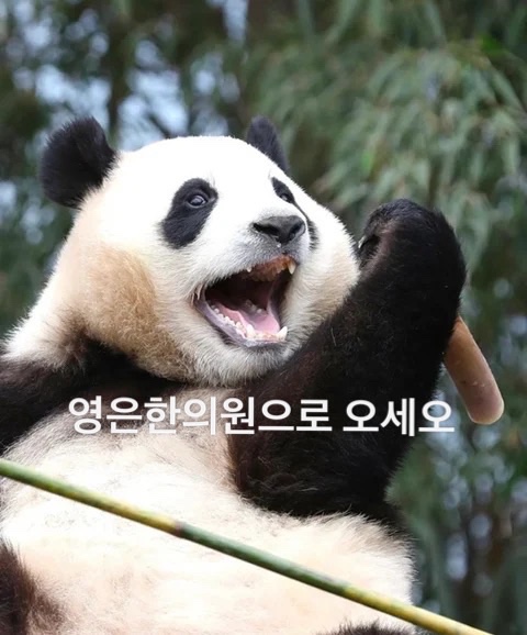 중생한의원 이미지